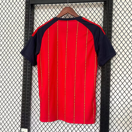 Camiseta de España 2026 edición fan