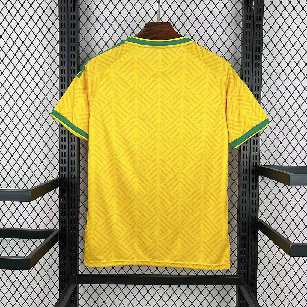 Camiseta de local de Sudáfrica 2026 edición fan